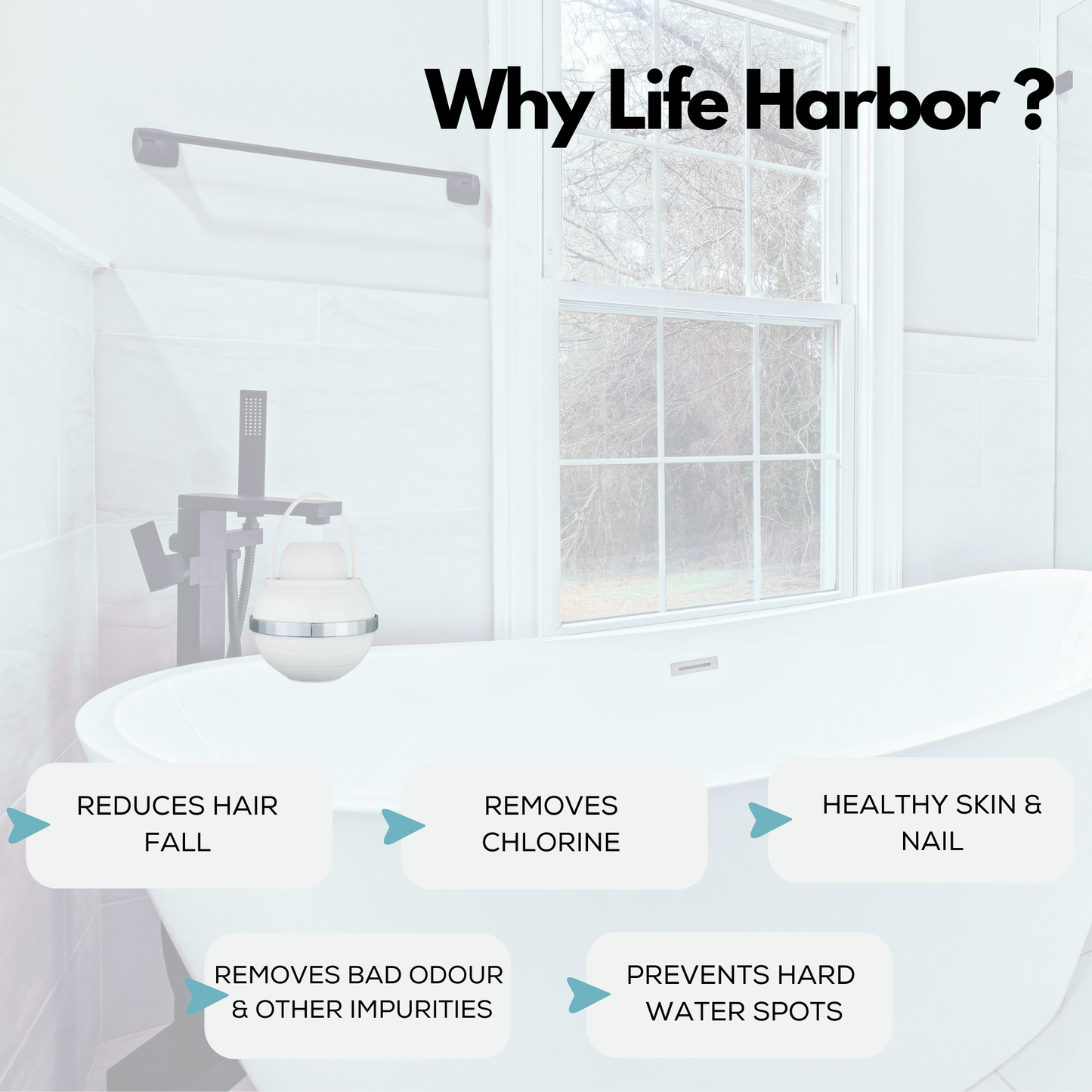 Cartridge: Bath Ball Filter