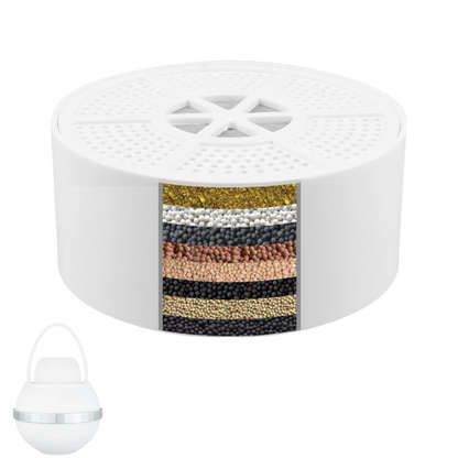 Cartridge: Bath Ball Filter