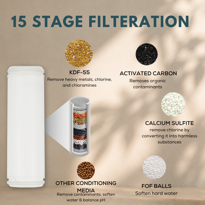 Hand Shower Cartridge: 15-Stage Filter